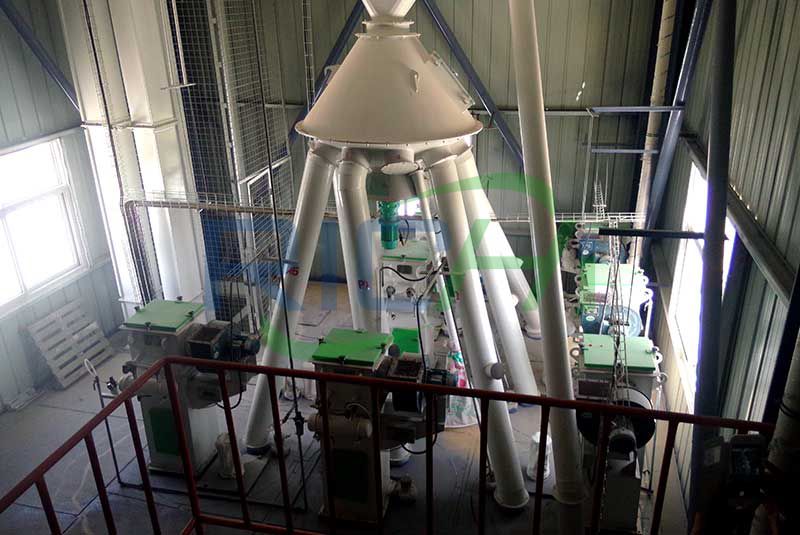 Kenya 5T/H Computer Batching Powder Chicken Feed Line