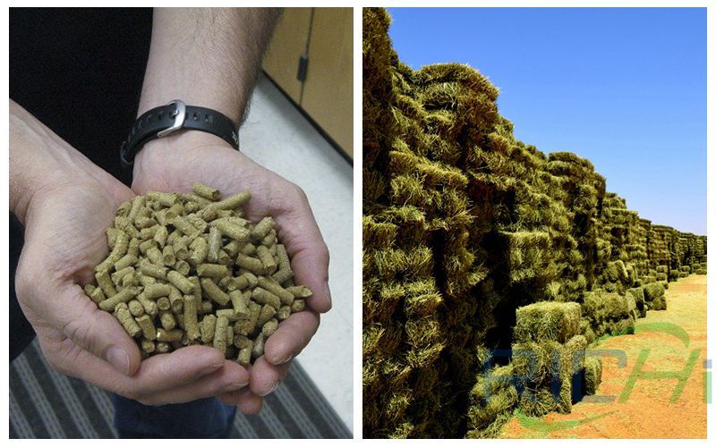 alfalfa pellets & alfalfa hay